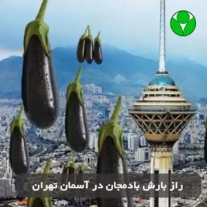 تحلیل بارش بادمجان از آسمان تهران